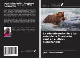 La microfinanciación y los retos de la financiación rural en el África subsahariana