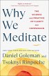 Why We Meditate - Bild 1