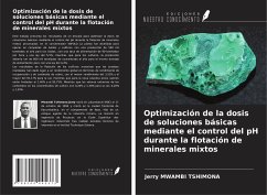 Optimización de la dosis de soluciones básicas mediante el control del pH durante la flotación de minerales mixtos - Mwambi Tshimona, Jerry