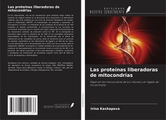 Las proteínas liberadoras de mitocondrias - Kashapova, Irina