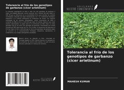 Tolerancia al frío de los genotipos de garbanzo (cicer arietinum) - Kumar, Mahesh