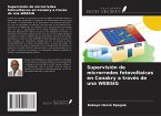 Supervisión de microrredes fotovoltaicas en Conakry a través de una WEBSIG