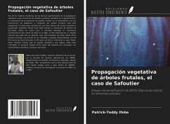 Propagación vegetativa de árboles frutales, el caso de Safoutier - Ifebe, Patrick-Teddy