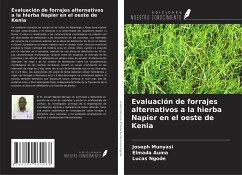 Evaluación de forrajes alternativos a la hierba Napier en el oeste de Kenia - Munyasi, Joseph; Auma, Elmada; Ngode, Lucas