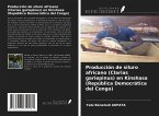 Producción de siluro africano (Clarias gariepinus) en Kinshasa (República Democrática del Congo)