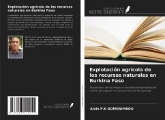 Explotación agrícola de los recursos naturales en Burkina Faso - Gomgnimbou, Alain P. K