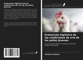 Evaluación higiénica de las condiciones de cría de los pollos jóvenes