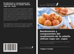 Rendimiento y componentes del rendimiento de la cebolla (Allium cepa var. cepa) - Yesigat, Tegbew