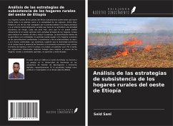 Análisis de las estrategias de subsistencia de los hogares rurales del oeste de Etiopía - Sani, Seid