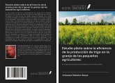 Estudio piloto sobre la eficiencia de la producción de trigo en la granja de los pequeños agricultores: