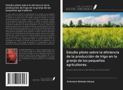 Estudio piloto sobre la eficiencia de la producción de trigo en la granja de los pequeños agricultores: - Debebe Aboye, Anbessie