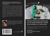 Sulfonil hidrazonas respetuosas con el medio ambiente a través de la síntesis en un solo punto