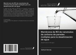 Membrana de RO de nanotubos de carbono de paredes múltiples para la desalinización de agua - Hamdy, Gehad