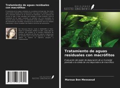 Tratamiento de aguas residuales con macrófitos - Ben Messaoud, Maroua