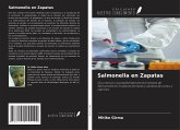 Salmonella en Zapatas