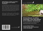 Entomofauna acuática asociada a los macrófitos en la sabana roraimense