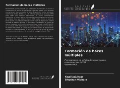 Formación de haces múltiples - Jajulwar, Kapil; Vidhale, Bhushan