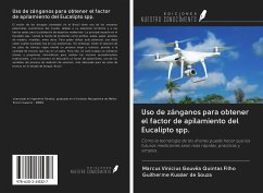 Uso de zánganos para obtener el factor de apilamiento del Eucalipto spp. - Vinicius Gouvêa Quintas Filho, Marcus; Kussler de Souza, Guilherme