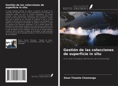 Gestión de las colecciones de superficie in situ - Chamanga, Dean Tinashe