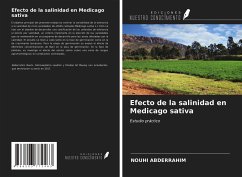 Efecto de la salinidad en Medicago sativa - Abderrahim, Nouhi