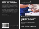 Transferencia intramedular del tendón del Flexor Digitorum Brevis