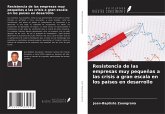 Resistencia de las empresas muy pequeñas a las crisis a gran escala en los países en desarrollo