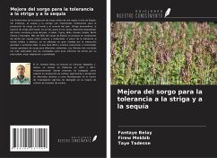 Mejora del sorgo para la tolerancia a la striga y a la sequía - Belay, Fantaye; Mekbib, Firew; Tadesse, Taye