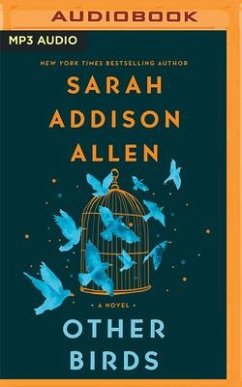 Other Birds - Allen, Sarah Addison