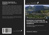 Examinar el proceso de transformación cultural de Sudáfrica