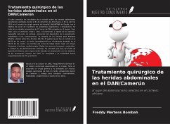 Tratamiento quirúrgico de las heridas abdominales en el DAN/Camerún - Bombah, Freddy Mertens