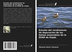 Estudio del rendimiento de depuración de las balsas anaerobias de la EDAR de Oujda - Idrissi Yahyaoui, Meryem