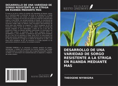 DESARROLLO DE UNA VARIEDAD DE SORGO RESISTENTE A LA STRIGA EN RUANDA MEDIANTE MAS - Niyibigira, Theogene