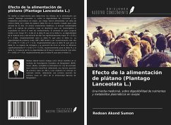 Efecto de la alimentación de plátano (Plantago Lanceolata L.) - Sumon, Redoan Akond