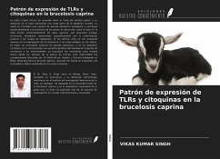 Patrón de expresión de TLRs y citoquinas en la brucelosis caprina - Singh, Vikas Kumar