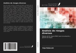 Análisis de riesgos diversos - Bubevski, Vojo