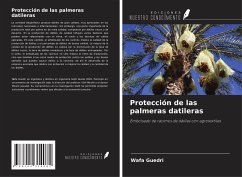 Protección de las palmeras datileras - Guedri, Wafa