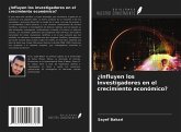 ¿Influyen los investigadores en el crecimiento económico?