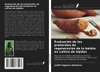 Evaluación de los protocolos de regeneración de la batata en cultivo de tejidos