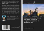 Estudio sobre la adsorción de gas para el esquisto de Longmaxi en la cuenca de Sichuan, China