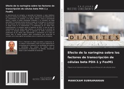 Efecto de la naringina sobre los factores de transcripción de células beta PDX-1 y FoxM1 - Subramanian, Manickam