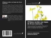 3Fideos verdes con hojas de Eruca vesicaria