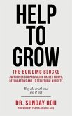 Help to Grow: The Building Blocks...With over 300 Prevailing Prayer Points, Declarations and 12 Scriptural Nuggets.