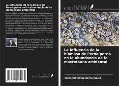 La influencia de la biomasa de Perna perna en la abundancia de la macrofauna ambiental - Haingura, Innocent Haingura