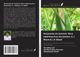 Respuesta de Summer Okra [abelmoschus Esculentus (L.) Moench.] A Weed