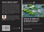 Síntesis de AgNPs por Sargassum muticum y Gymnema sylvestre