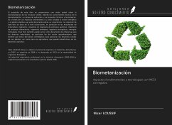 Biometanización - Loussif, Nizar