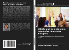 Estrategias de andamiaje para aulas de niveles múltiples - Fernández Sesme, Steeven