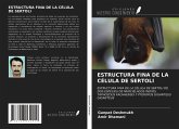 ESTRUCTURA FINA DE LA CÉLULA DE SERTOLI