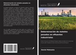 Determinación de metales pesados en efluentes industriales - Makwata, Daniel