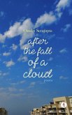 After the Fall of a Cloud: poems